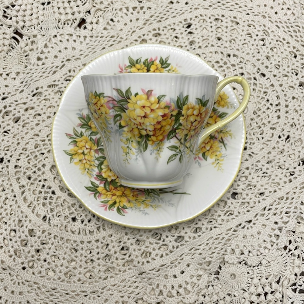 Royal Albert Blossom Time Series Laburnum